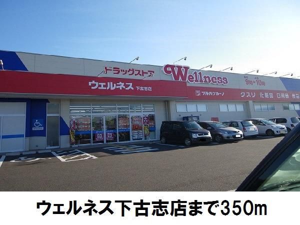 ドラックストア　ウェルネス下古志店（ドラッグストア）まで350m