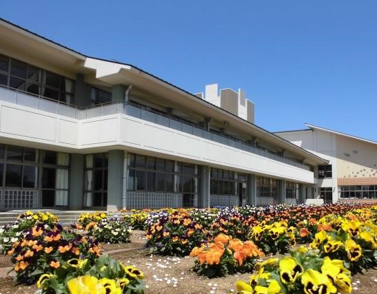 小学校　横浜市立高田小学校（小学校）まで452m