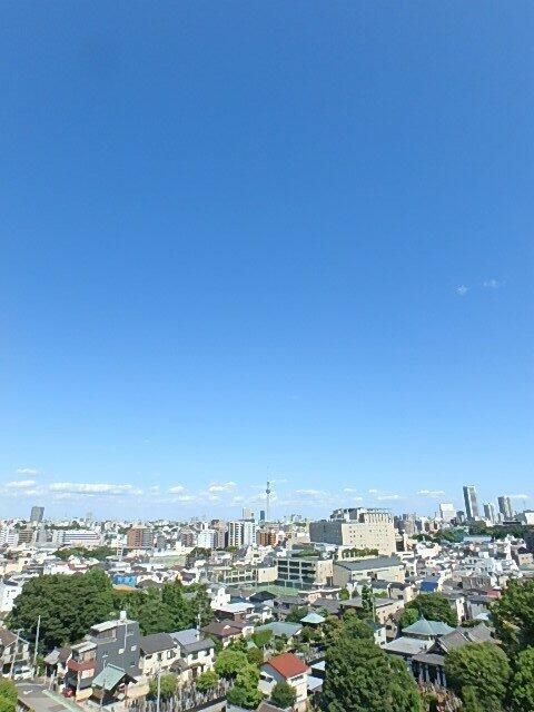 眺望　参考写真です