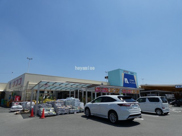 ホームセンター　ホームプラザナフコ黒髪店（ホームセンター）まで1234m