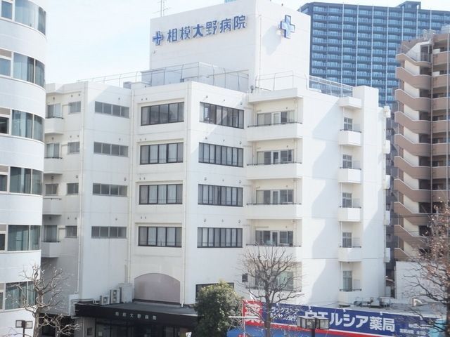 病院　相模大野病院（病院）まで217m