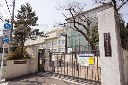 小学校　代々木山谷小学校（小学校）まで242m