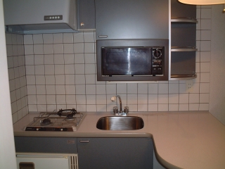 キッチン　同物件別号室のものです。