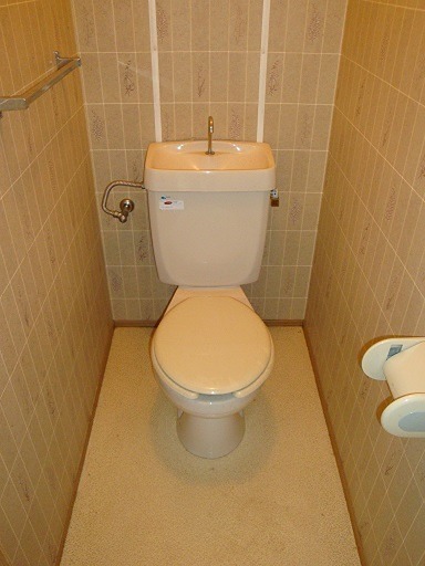 シティハイムフローレンスのトイレ写真