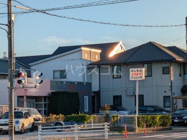 病院　はしもとどうぶつクリニック（病院）まで291m