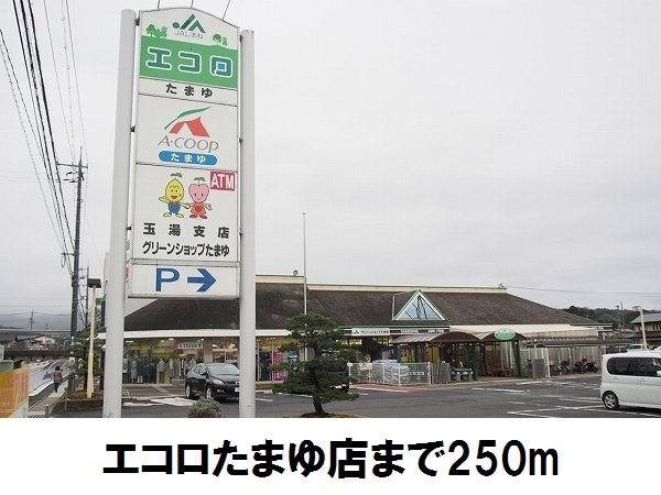スーパー　エコロたまゆ（スーパー）まで250m