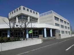 小学校　札幌市立新発寒小学校（小学校）まで445m