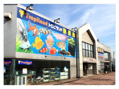 その他　トロピランド 小平店（その他）まで616m