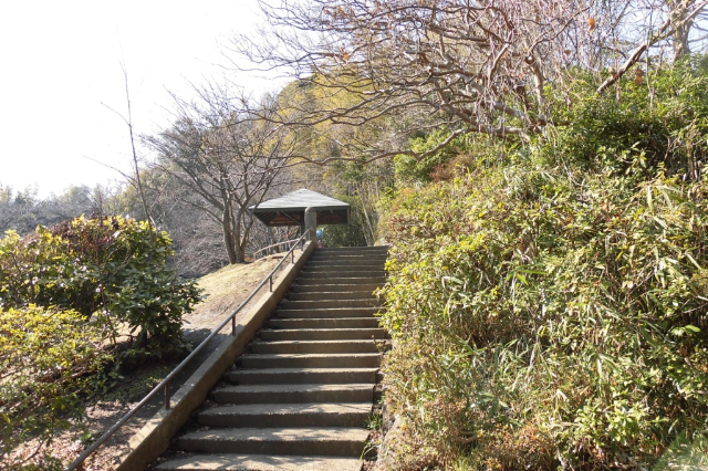 公園　日吉本町鯛ケ崎公園（公園）まで1488m