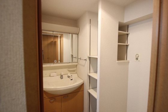 洗面設備　※別号室の写真です