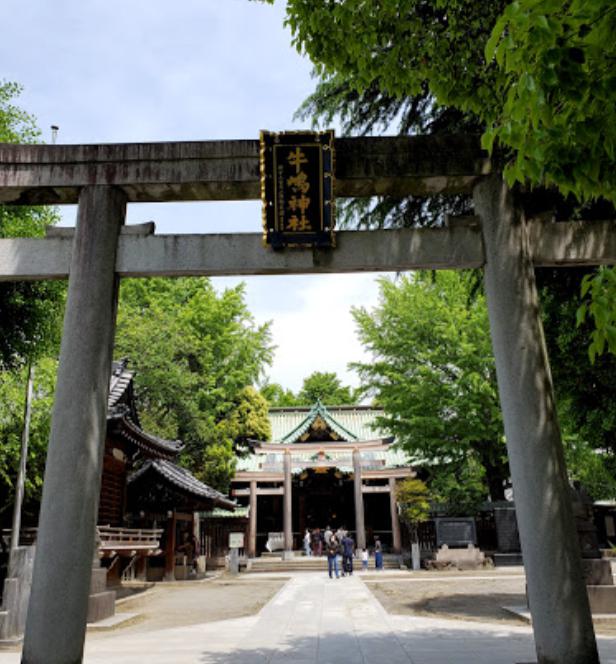 その他　牛嶋神社（その他）まで591m