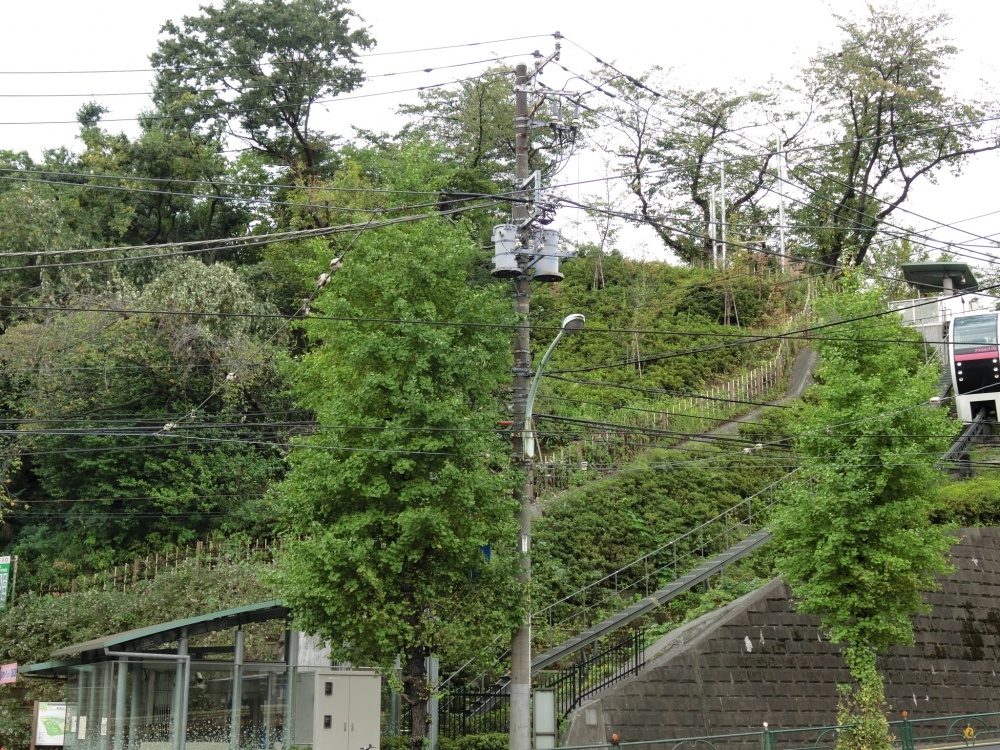 公園　飛鳥山公園（公園）まで880m