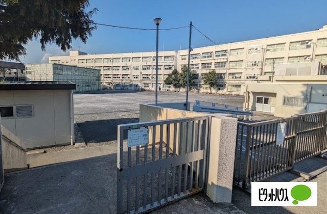 小学校　横浜市立本宿小学校（小学校）まで508m