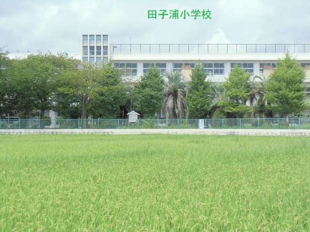 小学校　田子浦小学校（小学校）まで501m