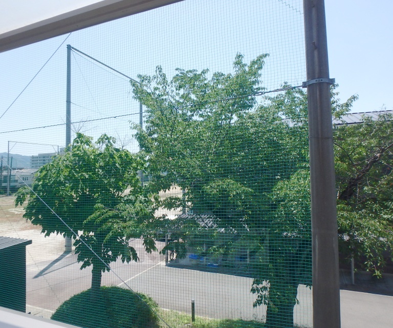 眺望　バルコニーからの景色です。