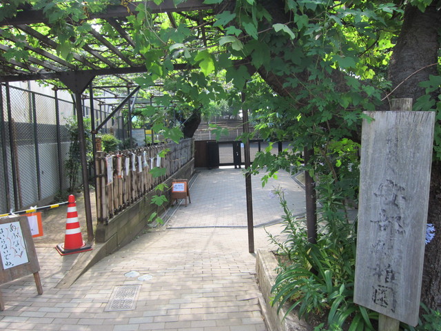 幼稚園・保育園　安部幼稚園（幼稚園・保育園）まで800m