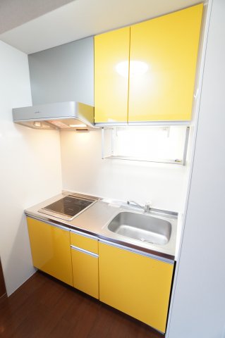 キッチン　※同物件・反転タイプの写真です。