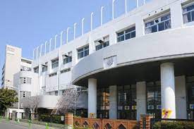 小学校　台東区立東泉小学校（小学校）まで367m