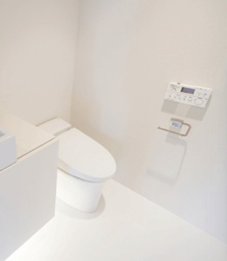 トイレ　トイレも気になるポイント