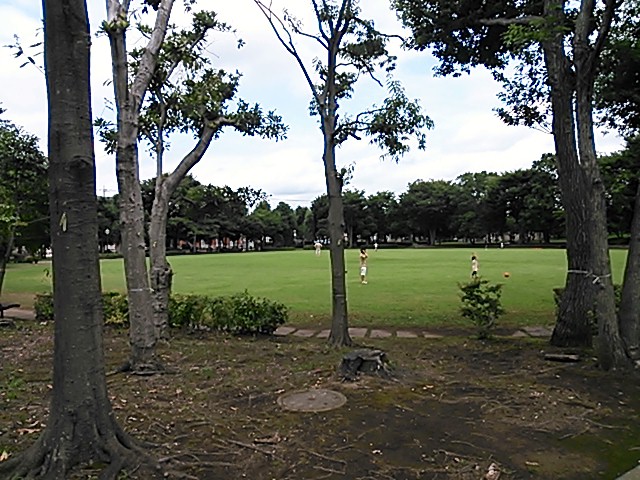 公園　梅園公園（公園）まで241m