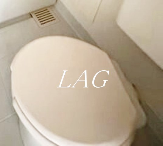トイレ　トイレです。