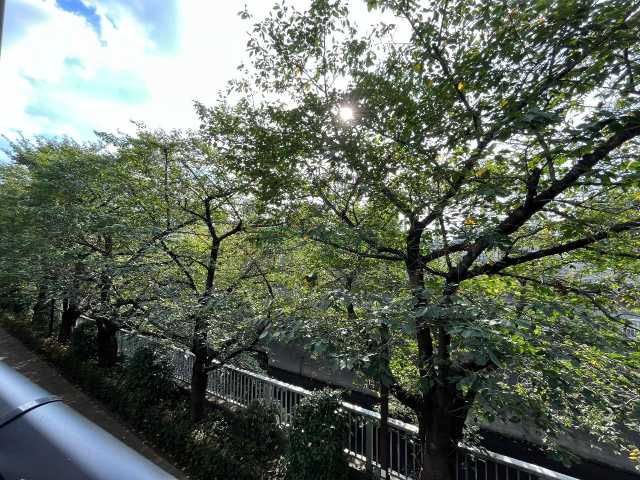 眺望　シーズンフラッツ高田馬場リバーサイドサウス