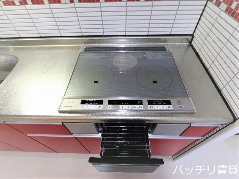 その他　類似写真使用のため、現状優先。