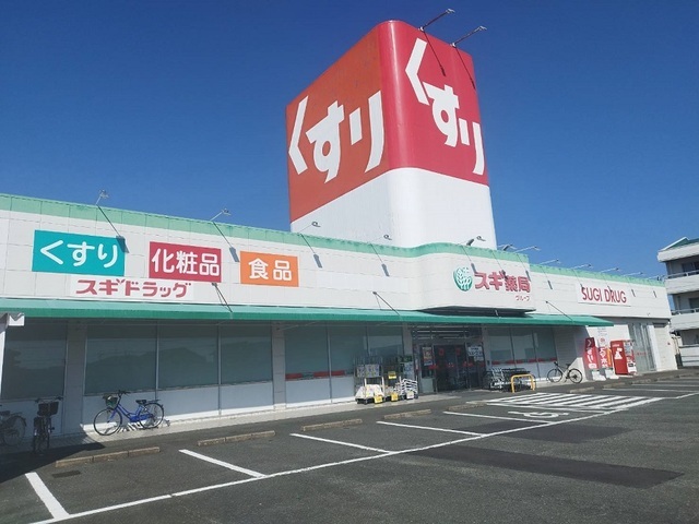 その他　スギ薬局（その他）まで300m
