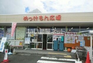 スーパー　めっけもん広場（スーパー）まで1257m
