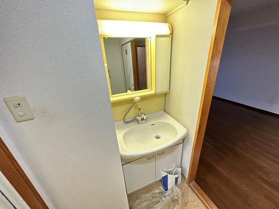 洗面設備　※別部屋の写真です