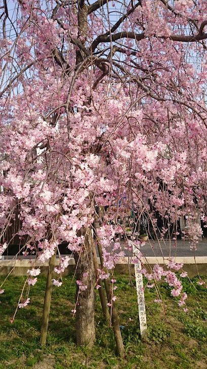 公園　淡路公園（公園）まで140m
