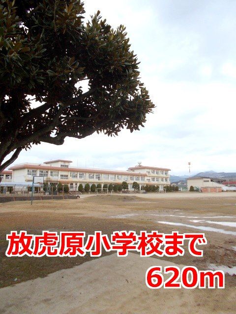 小学校　放虎原小学校（小学校）まで620m
