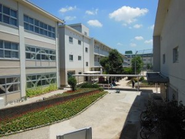 中学校　精道中（中学校）まで460m
