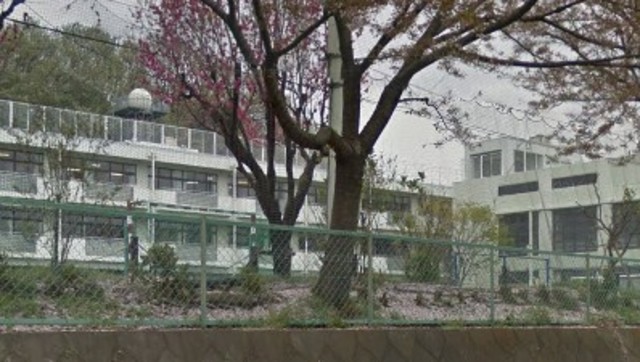 小学校　私立和光鶴川小学校（小学校）まで499m