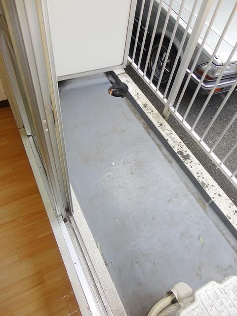 バルコニー　同建物別号室参考写真です