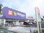 ドラックストア　ウェルパーク武蔵砂川店（ドラッグストア）まで1107m