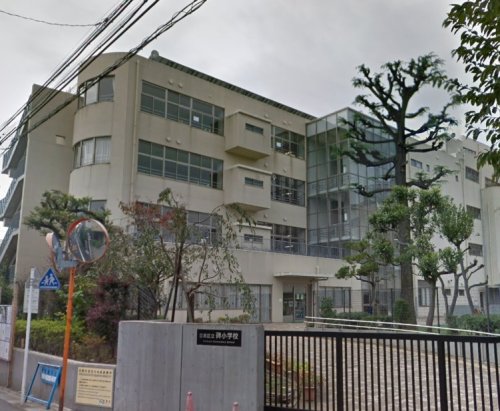 小学校　目黒区立碑小学校（小学校）まで503m