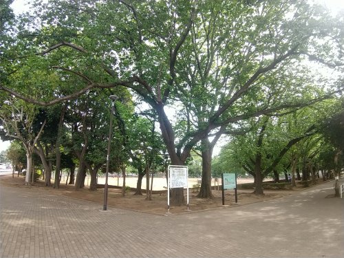 公園　薬円台公園（公園）まで525m