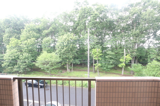 眺望　※写真は他号室です
