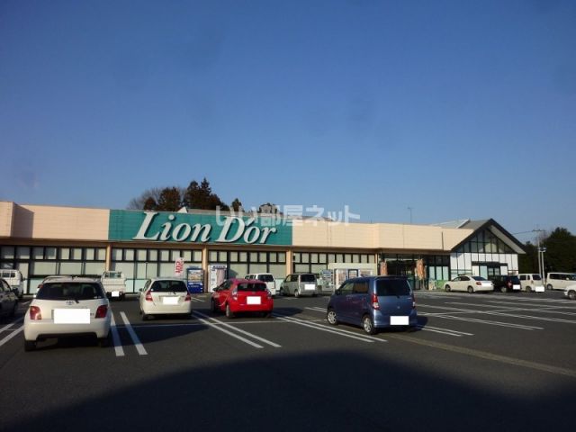 スーパー　リオン・ドール 高根沢店（スーパー）まで646m