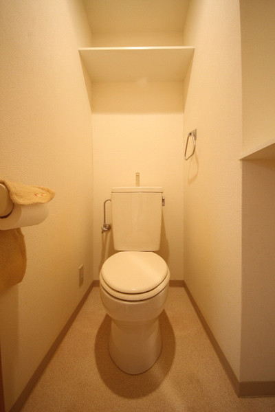 阪急宝塚線 庄内駅 徒歩13分 3階建 築22年のトイレ写真