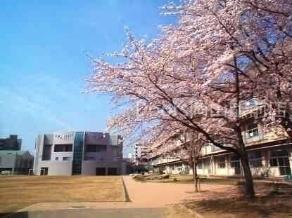 小学校　岡山市立石井小学校（小学校）まで688m