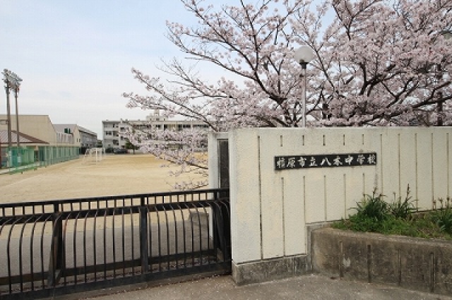 中学校　八木中学校（中学校）まで1151m