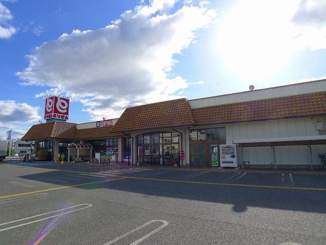 スーパー　とりせん東矢島店（スーパー）まで1300m