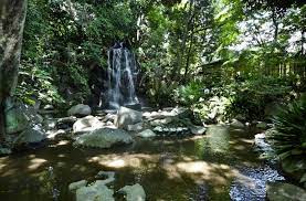 公園　名主の滝公園（公園）まで579m