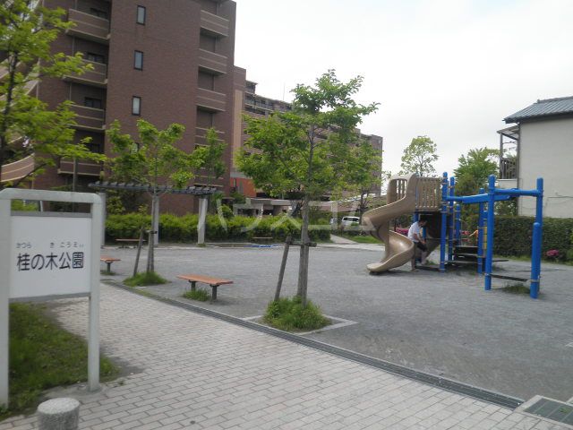 公園　桂の木公園（公園）まで575m