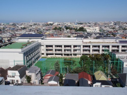 小学校　世田谷区立駒沢小学校（小学校）まで522m