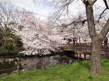 公園　東綾瀬公園（公園）まで851m