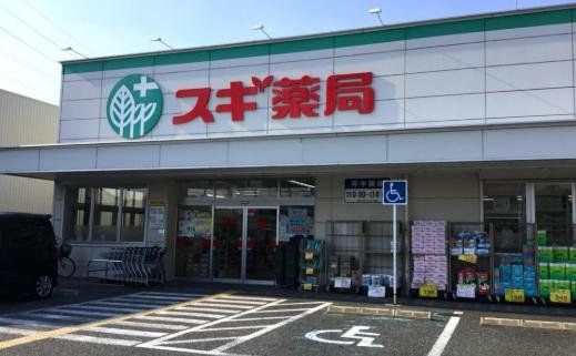 ドラックストア　スギ薬局尼崎南七松店（ドラッグストア）まで300m