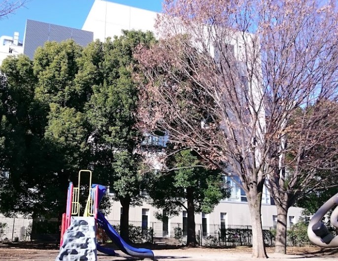 公園　ハナノキ公園（公園）まで20m